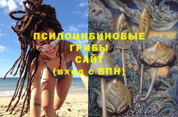 амф Надым