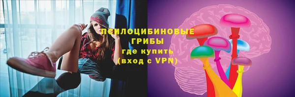 амф Надым