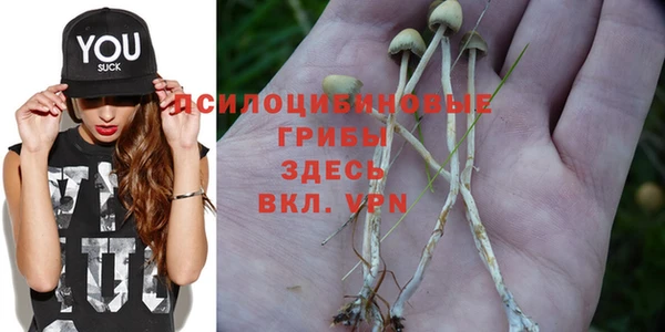 стафф Навашино
